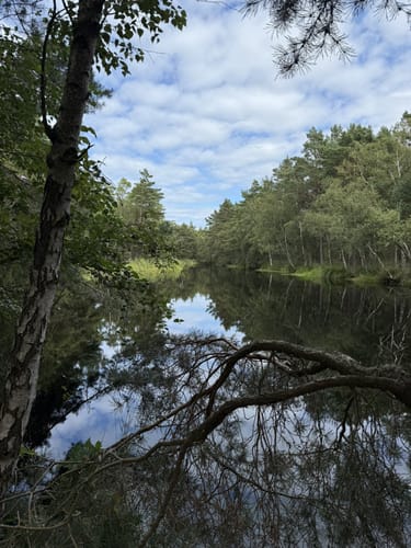 Küstenmoor Rundtour