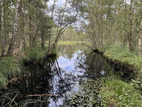 Küstenmoor Rundtour