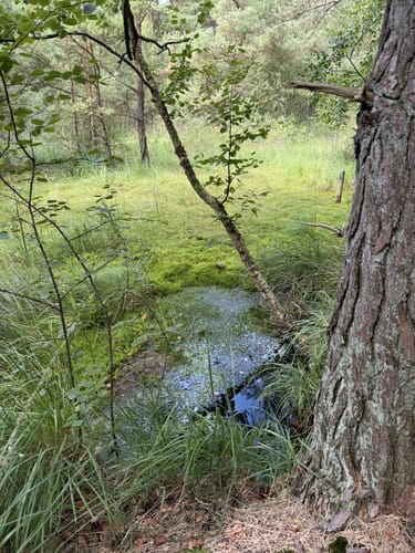 Küstenmoor Rundtour