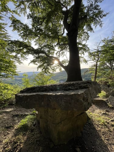 Hessische Schweiz P4 (Premiumwanderweg)