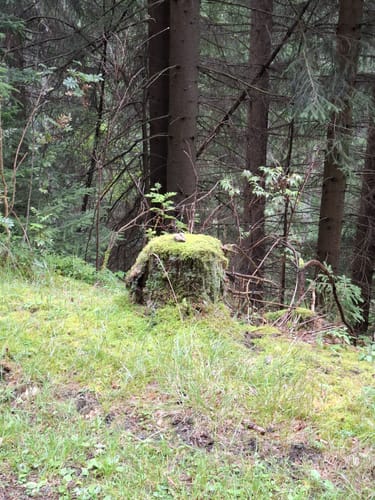 Rund um Holzhau