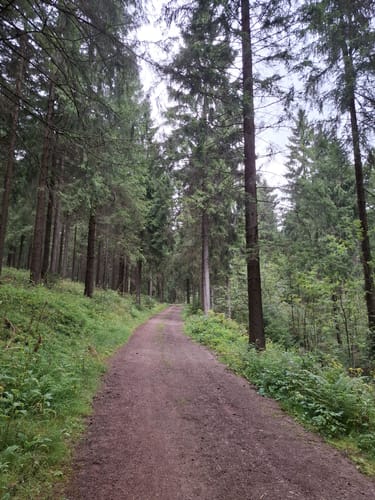 Rund um Holzhau