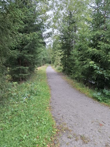 Rund um Holzhau