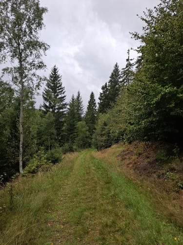 Rund um Holzhau