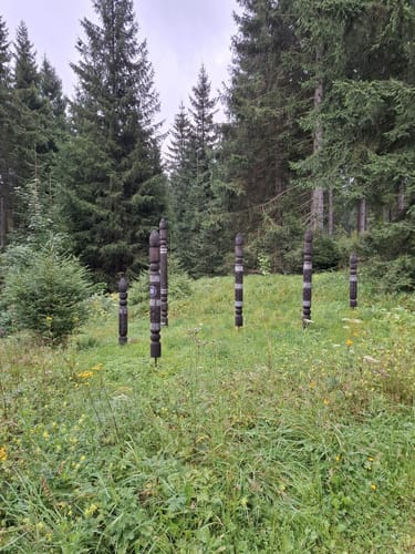 Rund um Holzhau