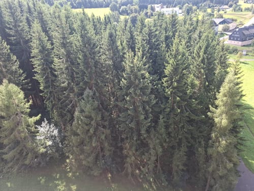 Schloß Purschenstein zur Talsperre Rauschenbach