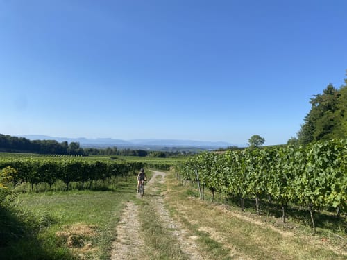 Bischoffingen - Spielberg