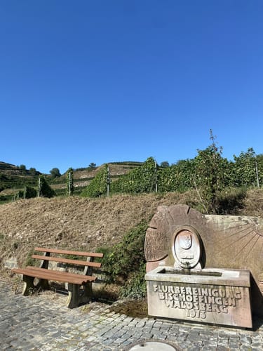 Bischoffingen - Spielberg