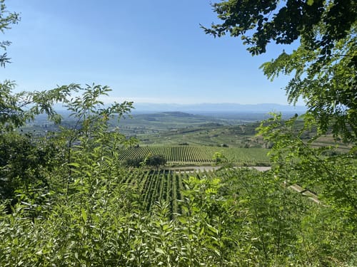 Bischoffingen - Spielberg