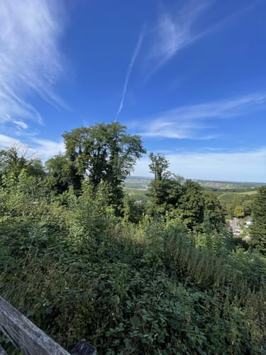 Löwenstein und Breitenauer See