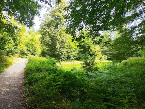 Wiesbaden: Rundwanderweg Fuchs