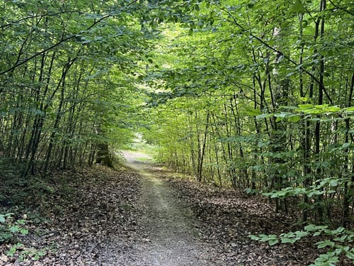 Zum Kühkopf und dem Hasenberg