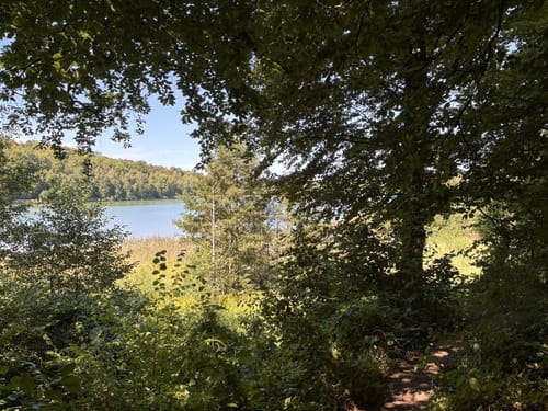 Reihersee ab Burg Gebhardshagen