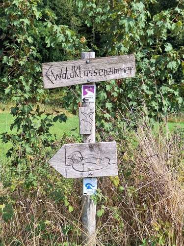 Soonwald (Traumschleife)