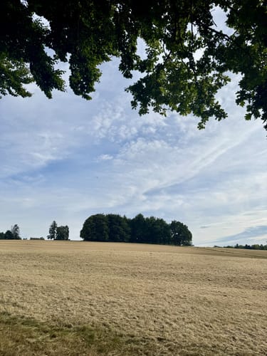Bad Oeynhausen: Wanderweg Siekertal