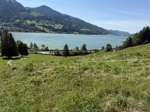 Vom Alpsee zur Siedelalpe