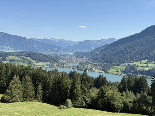 Vom Alpsee zur Siedelalpe