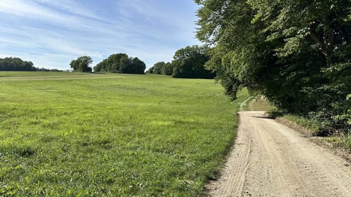 Zur Falkensteiner Höhle