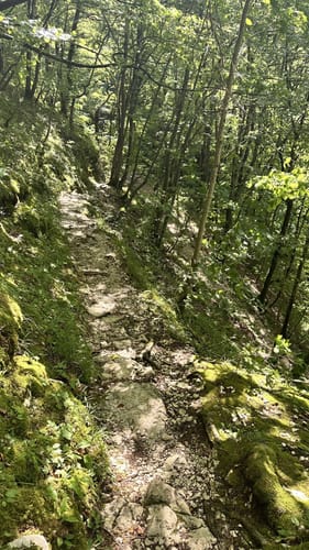 Zur Falkensteiner Höhle