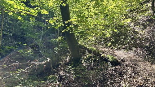 Zur Falkensteiner Höhle