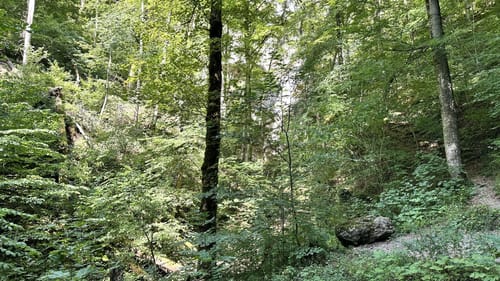 Zur Falkensteiner Höhle