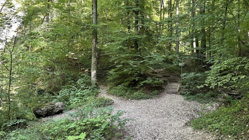 Zur Falkensteiner Höhle