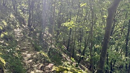 Zur Falkensteiner Höhle