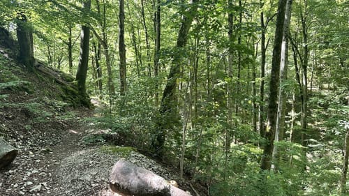 Zur Falkensteiner Höhle
