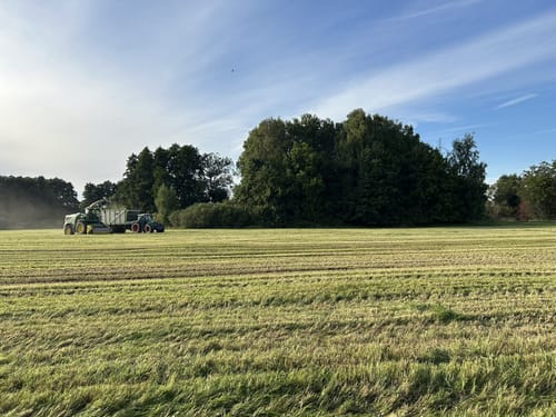 Goldsteig Zuweg Nr. 6A: Von Weiden nach Wilchenreuth