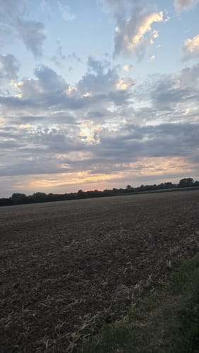 Erft-Radweg Etappe 5: Türnich - Bergheim