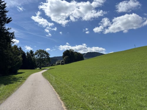 Ravennaschlucht - Piketfelsen Rundweg