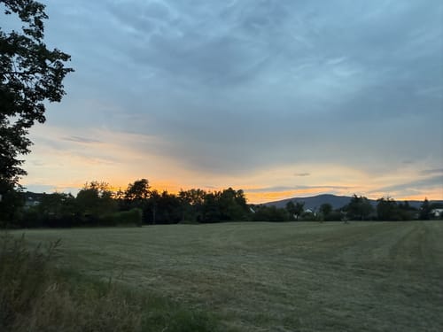 Niederhöchstadt - Skulpturenpark - Tal des Westerbachs