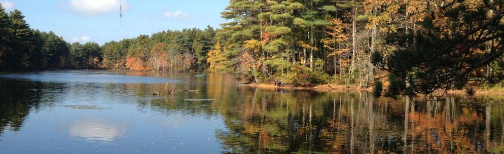 Field Pond, Massachusetts - 426 Reviews, Map | AllTrails