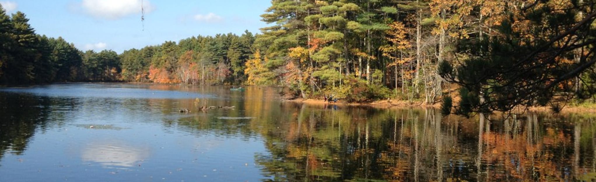 Field Pond, Massachusetts 431 Reviews, Map AllTrails