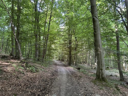 Erlenloch und Blauer See