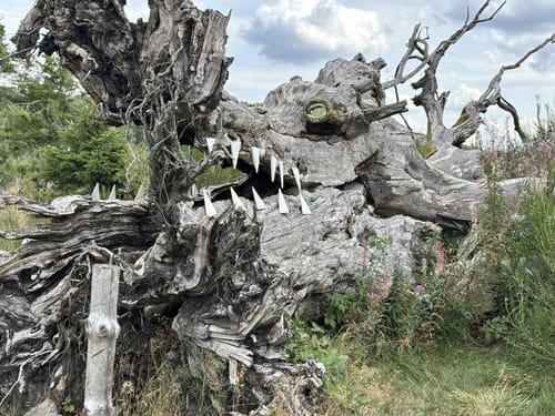Rothaarsteig Etappe 8: Wilgersdorf - Dillenburg