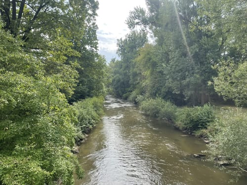 Von Ravensburg Süd in den Adelsreuter Wald