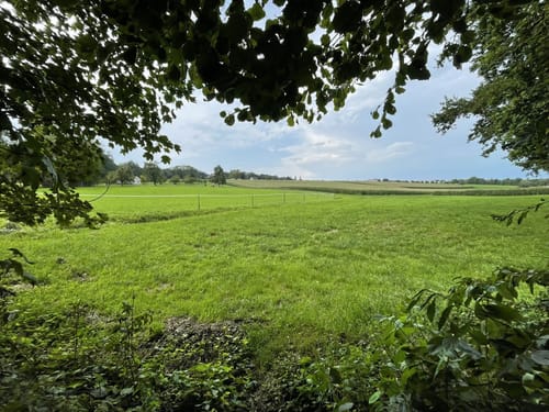 Von Ravensburg Süd in den Adelsreuter Wald