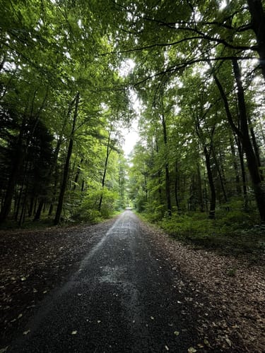 Von Ravensburg Süd in den Adelsreuter Wald