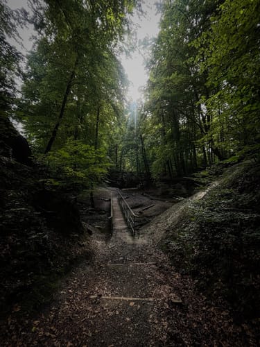 Von Ravensburg Süd in den Adelsreuter Wald