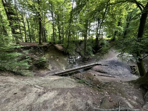 Von Ravensburg Süd in den Adelsreuter Wald