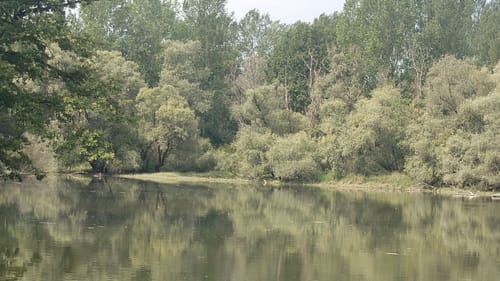 Rheinauen-Runde von Rastatt-Plittersdorf