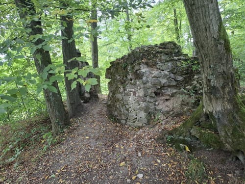 Durch das Schwarzbachtal über den Hankehübel [CLOSED]
