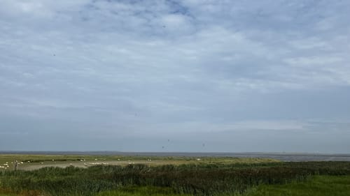 Rundweg Schillig - Alte Schmiede