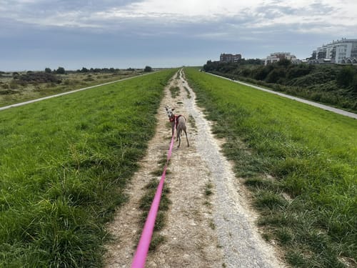 Rundweg Schillig - Alte Schmiede