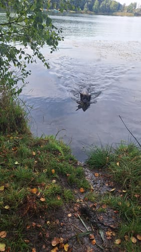 Rund um die Riedseen