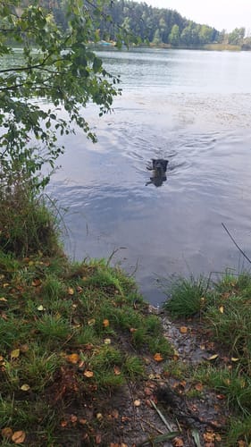 Rund um die Riedseen