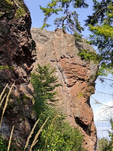 Inselsberg Rundweg