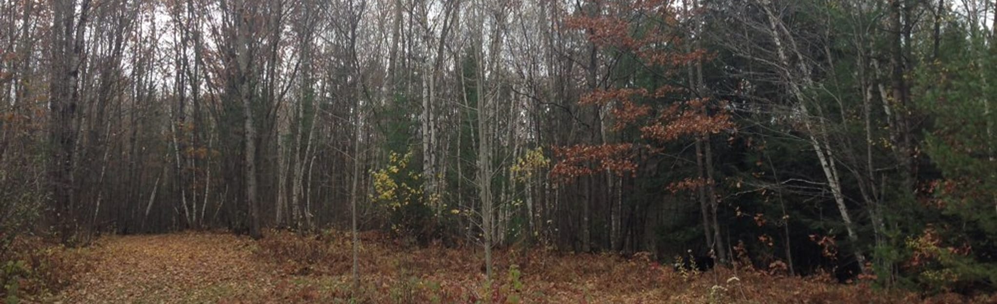 Madeline Lake Trail 61 Reviews, Map Wisconsin AllTrails