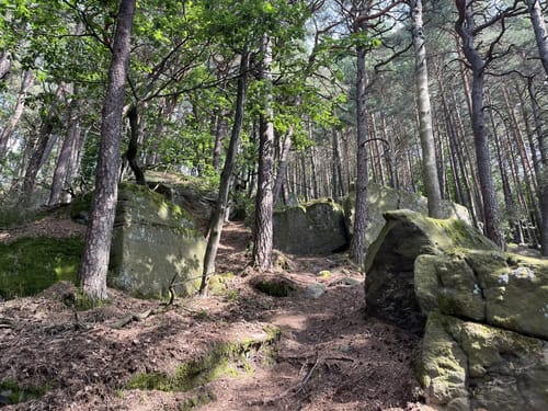 Schutzhütte Schänzelstraße - Hochberg